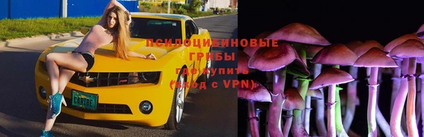 круглые Дмитровск