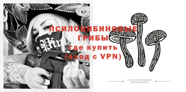 стафф Дмитров
