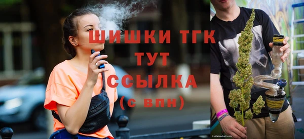стафф Дмитров