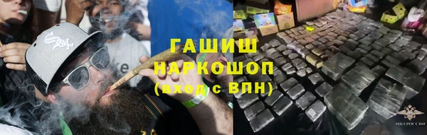 стафф Дмитров