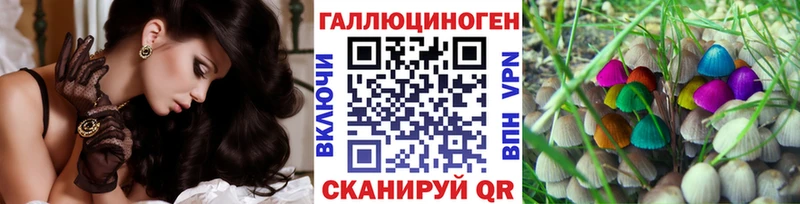 Псилоцибиновые грибы Psilocybine cubensis  Зубцов 